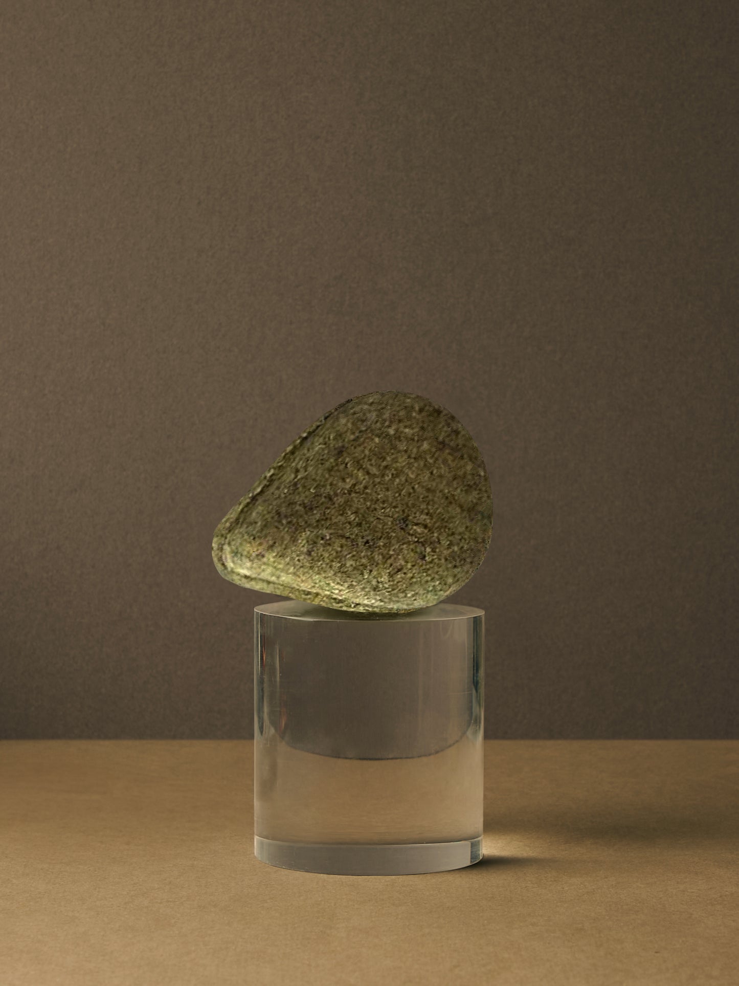 Shampooing solide (Cheveux gras)