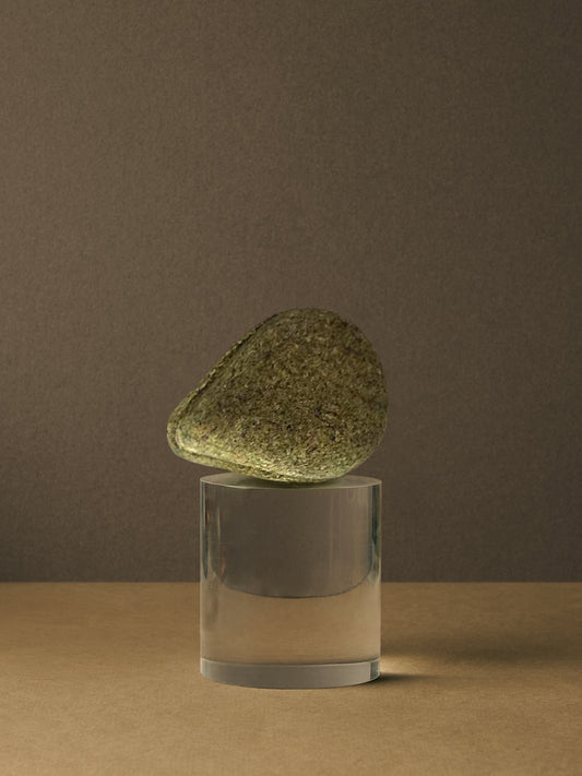 Shampooing solide (Cheveux gras)